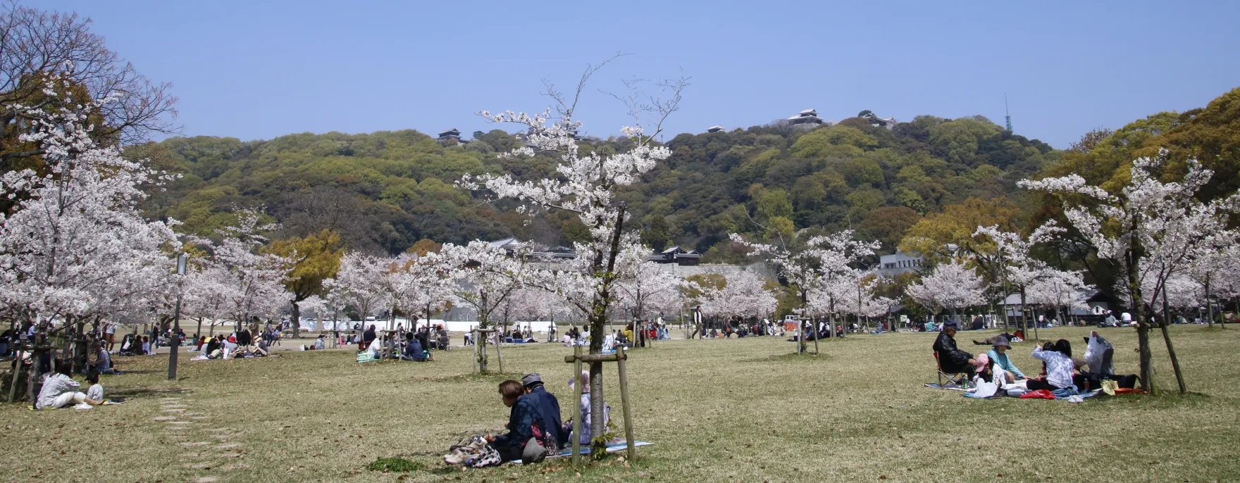 🏯 시로야마 공원 혼마루 히로바 (城山公園 本丸広場) 이미지 1